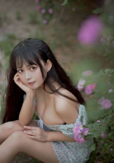 一树桃花开电视剧42集免费观看_DVD高清免费观看