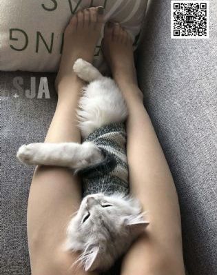 憧憬成为魔法少女动漫免费观看_BD韩语免费观看超清