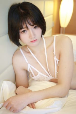 姐姐6免费完整高清电视剧在线看_DVD免费观看超清