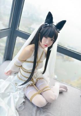天使与龙的轮舞全集免费完整版_1080P高清视频播放